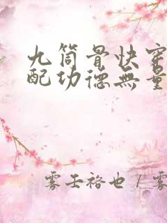 九筒骨快穿之女配功德无量