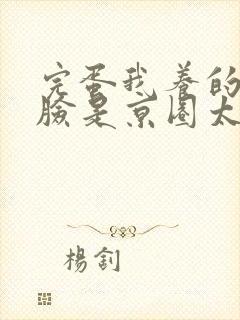 完蛋我养的小白脸是京圈太子爷免费看全集