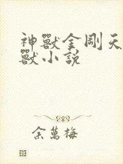 神兽金刚天神地兽小说