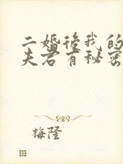 二婚后我的新任夫君有秘密免费阅读