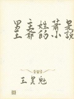 男主姓萧是战神王爷的小说