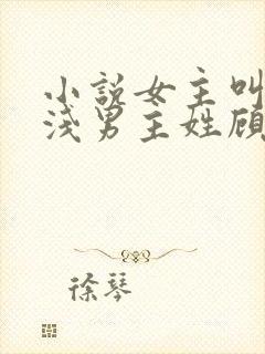 小说女主叫苏浅浅男主姓顾