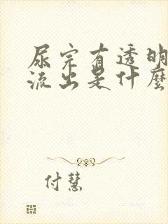 尿完有透明粘液流出是什么原因?