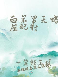 白羊男天蝎女星座配对