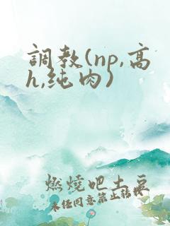 调教(np,高h,纯肉)