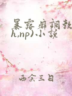 暴露癖调教(高h,np)小说