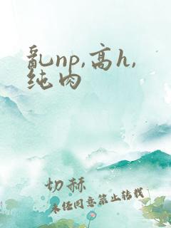 乱np,高h,纯肉