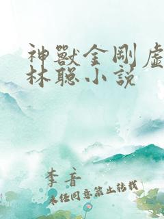 神兽金刚虚弱的林聪小说