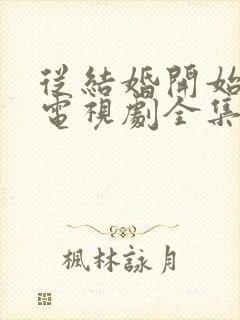 从结婚开始恋爱电视剧全集