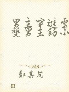 男主穿进云之羽双男主的小说