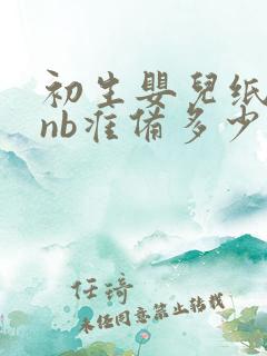 初生婴儿纸尿裤nb准备多少