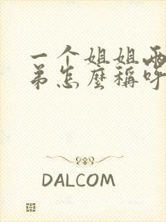 一个姐姐两个弟弟怎么称呼