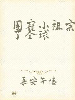 团宠小祖宗惊艳了全球