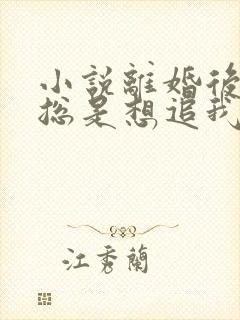 小说离婚后前夫总是想追我