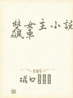 双女主小说高速飙车