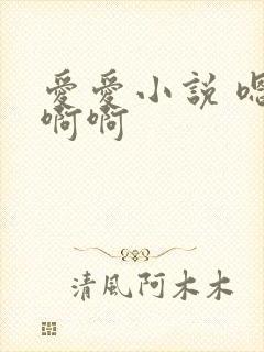 爱爱小说 嗯嗯啊啊
