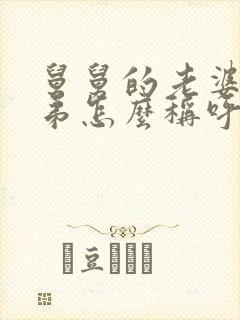 舅舅的老婆的弟弟怎么称呼