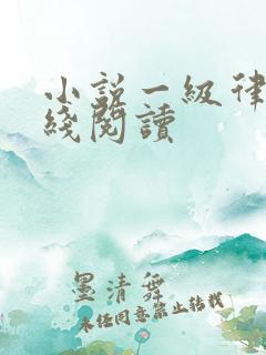 小说一级律师在线阅读