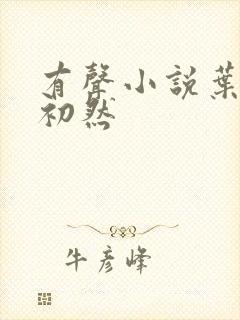 有声小说叶辰萧初然