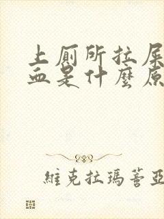 上厕所拉屎拉出血是什么原因