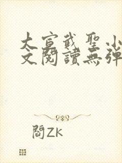 大宣武圣小说全文阅读无弹窗