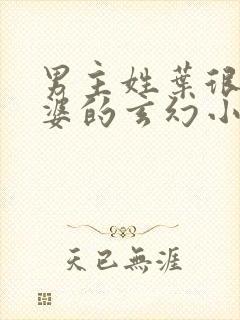 男主姓叶很多老婆的玄幻小说