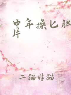 中年操匕胖女人片