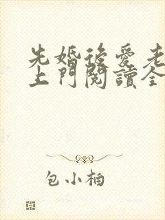 先婚后爱老公追上门阅读全文