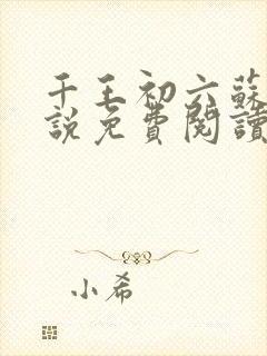 千王初六苏梅小说免费阅读