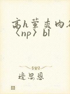 高h荤爽肉欲文〈np〉bl