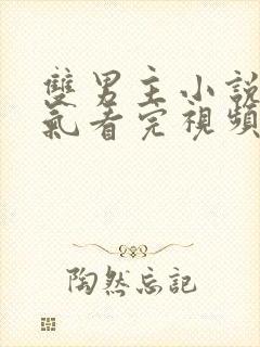 双男主小说一口气看完视频虐文