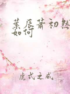 叶辰萧初然结局如何