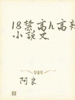 18禁高h高辣小说文