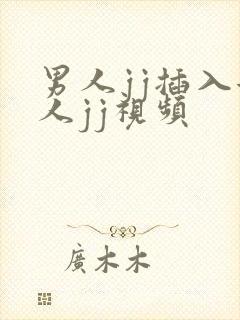 男人jj插入女人jj视频