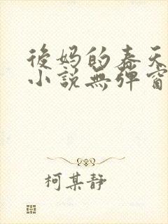 后妈的春天王磊小说无弹窗