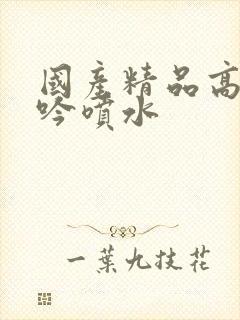 国产精品高潮呻吟喷水