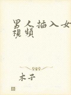 男人插入女人b视频