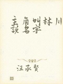 主角叫林川的小说名字