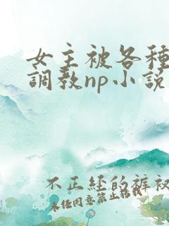 女主被各种淫玩调教np小说