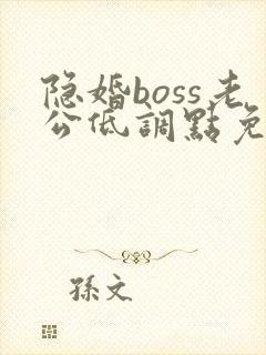 隐婚boss老公低调点免费阅读