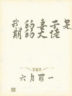 我的妻子是大乘期的大佬