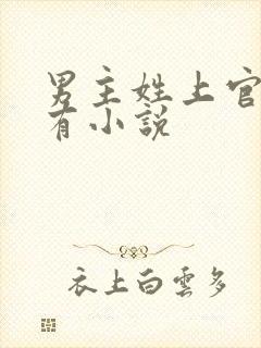 男主姓上官的所有小说