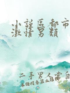 小说区都市校园激情另类