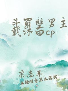 斗罗双男主主攻戴沐白cp