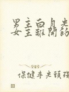 男主白月光回来女主离开的小说