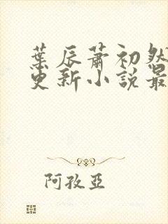 叶辰萧初然最快更新小说最新