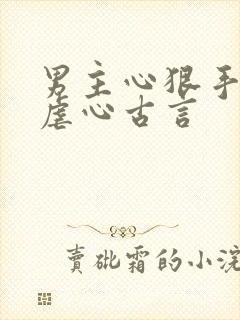 男主心狠手辣的虐心古言