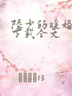 陆少的暖婚新妻下载全文