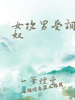 女攻男受调教男奴