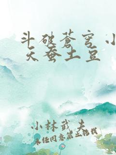 斗破苍穹 小说 天蚕土豆